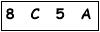 salt-339B5463