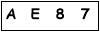 salt-0988DD50
