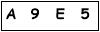salt-988970FF