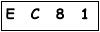 salt-246FC95E
